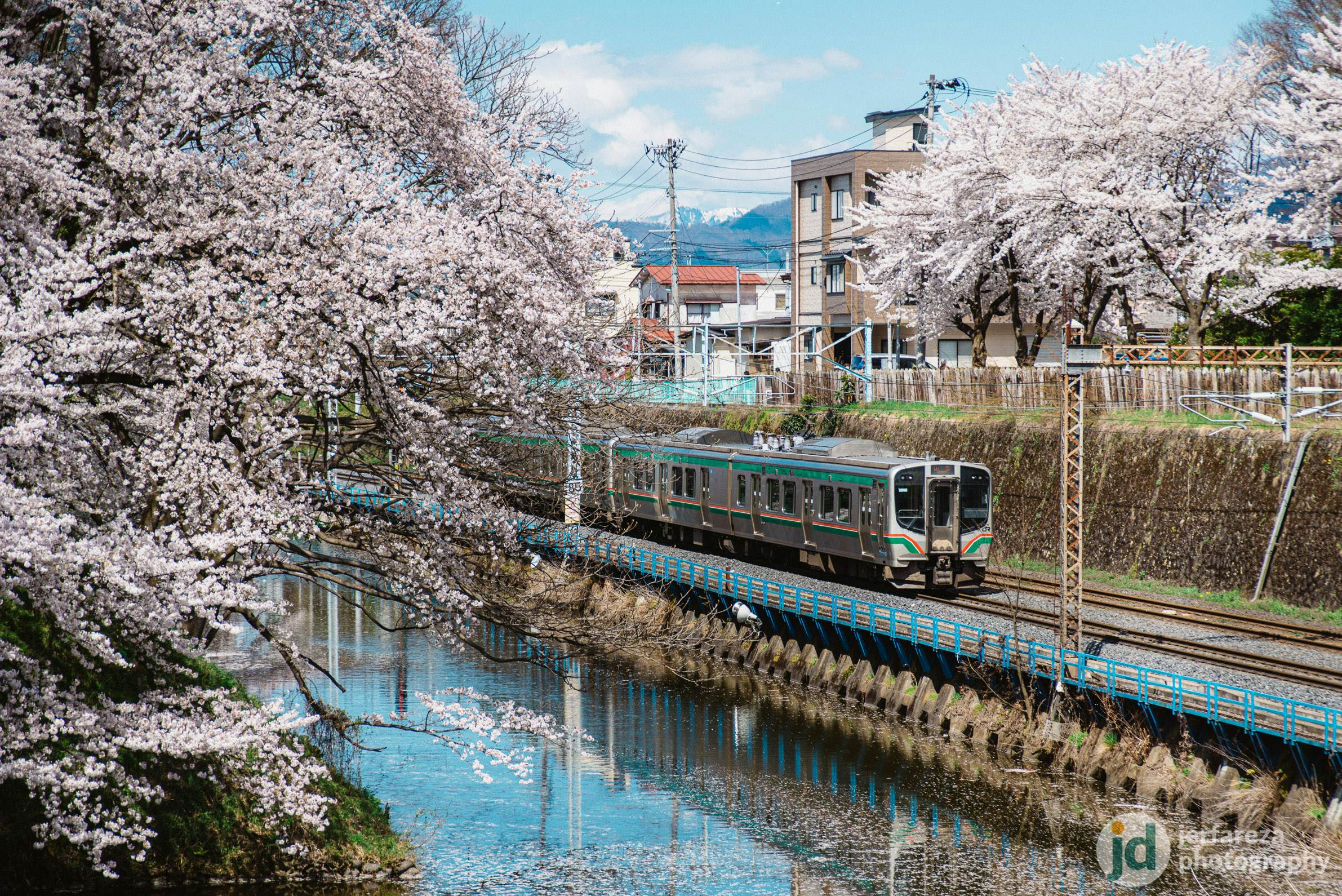 Sakura in Yamagata City