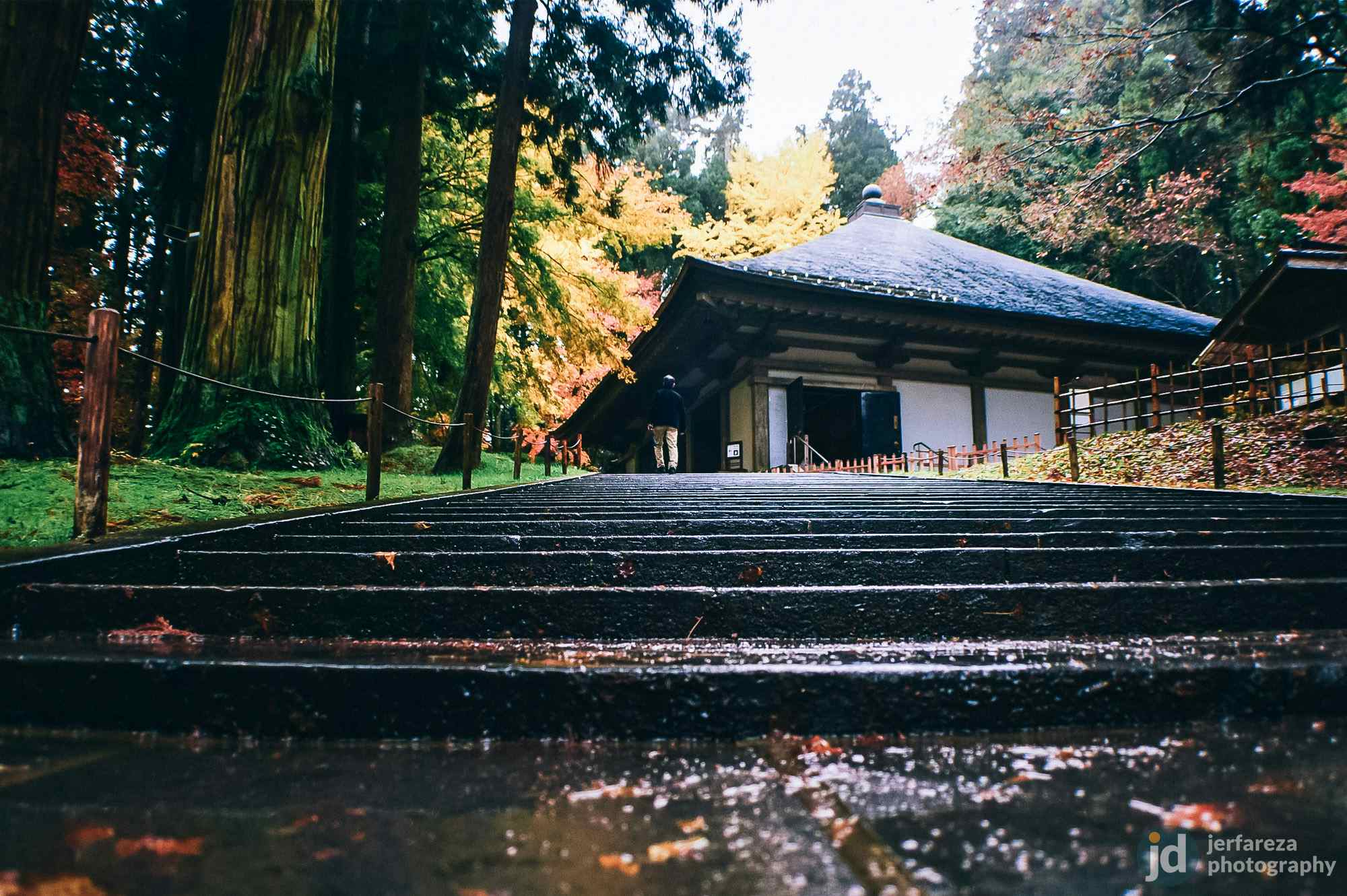 The Charm of World Heritage Site Hiraizumi